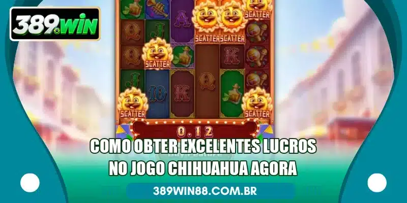 Como obter excelentes lucros no jogo Chihuahua agora