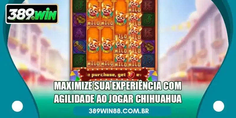 Maximize sua experiência com agilidade ao jogar Chihuahua